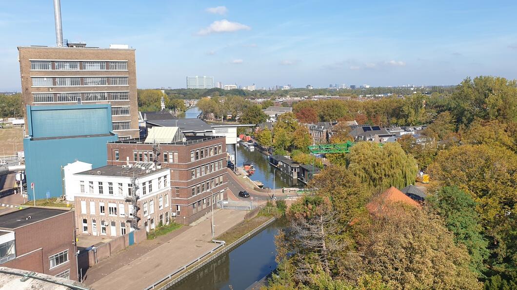DSM 1