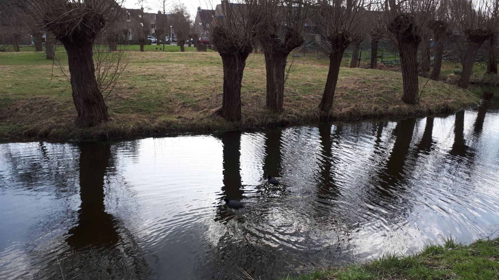 Tanthof is en blijft de groenste wijk van Delft